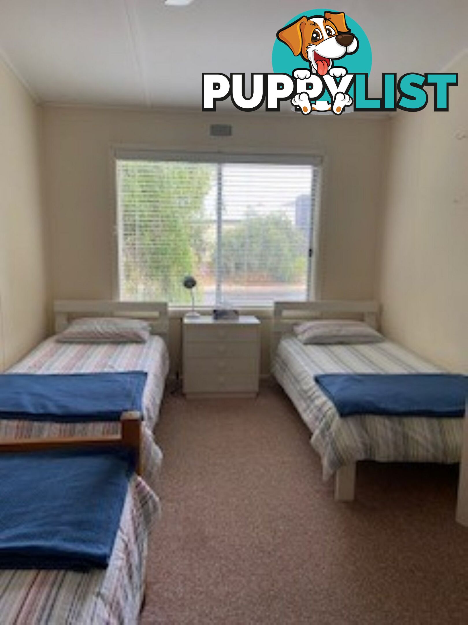 3 Petrel Avenue ENCOUNTER BAY SA 5211