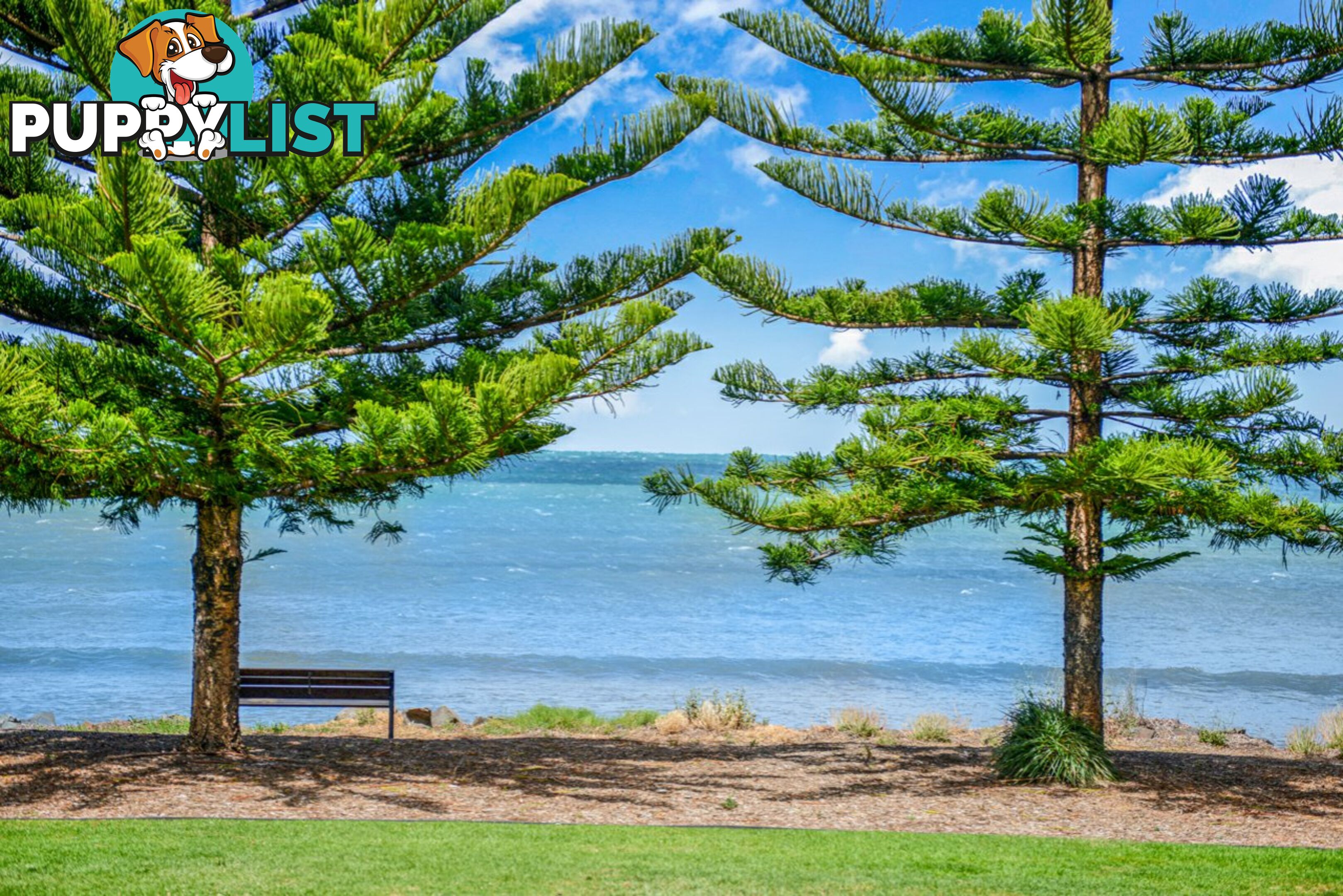 2/20 Flinders Parade VICTOR HARBOR SA 5211