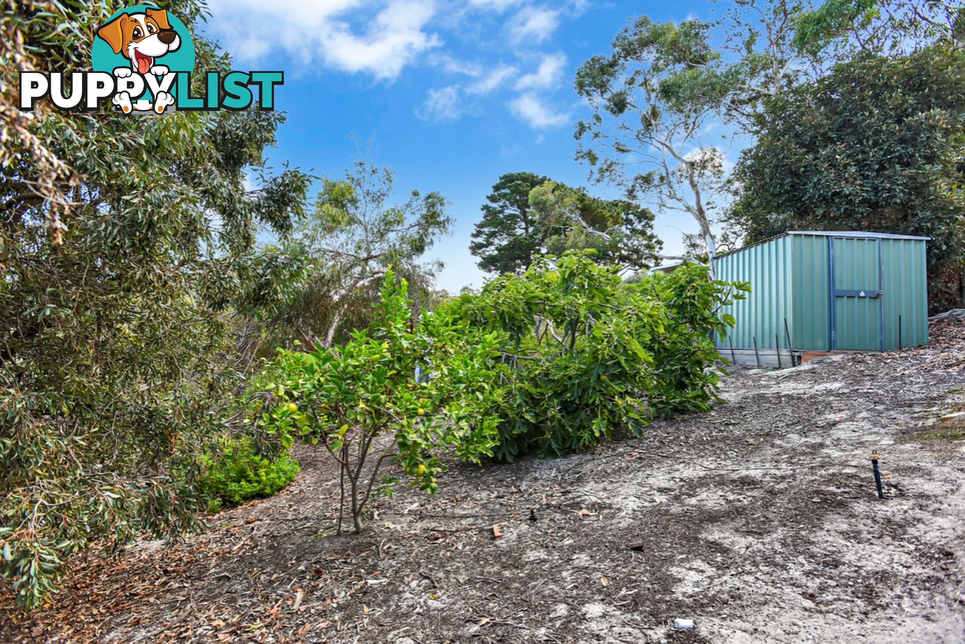 37 Yalla-doola Road VICTOR HARBOR SA 5211