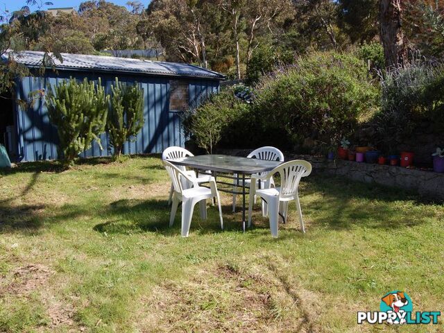 51 Gum Avenue VICTOR HARBOR SA 5211