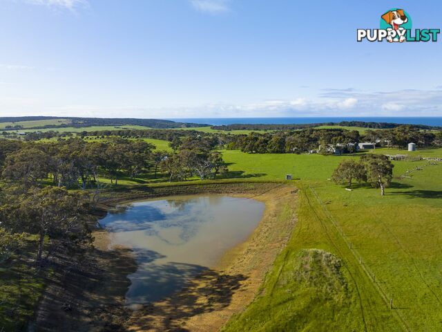 1300 Waitpinga Road WAITPINGA SA 5211