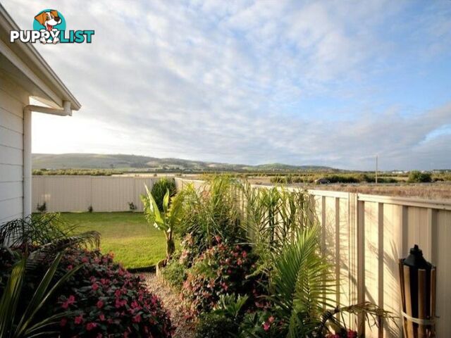 6 Butterfly Court HAYBOROUGH SA 5211