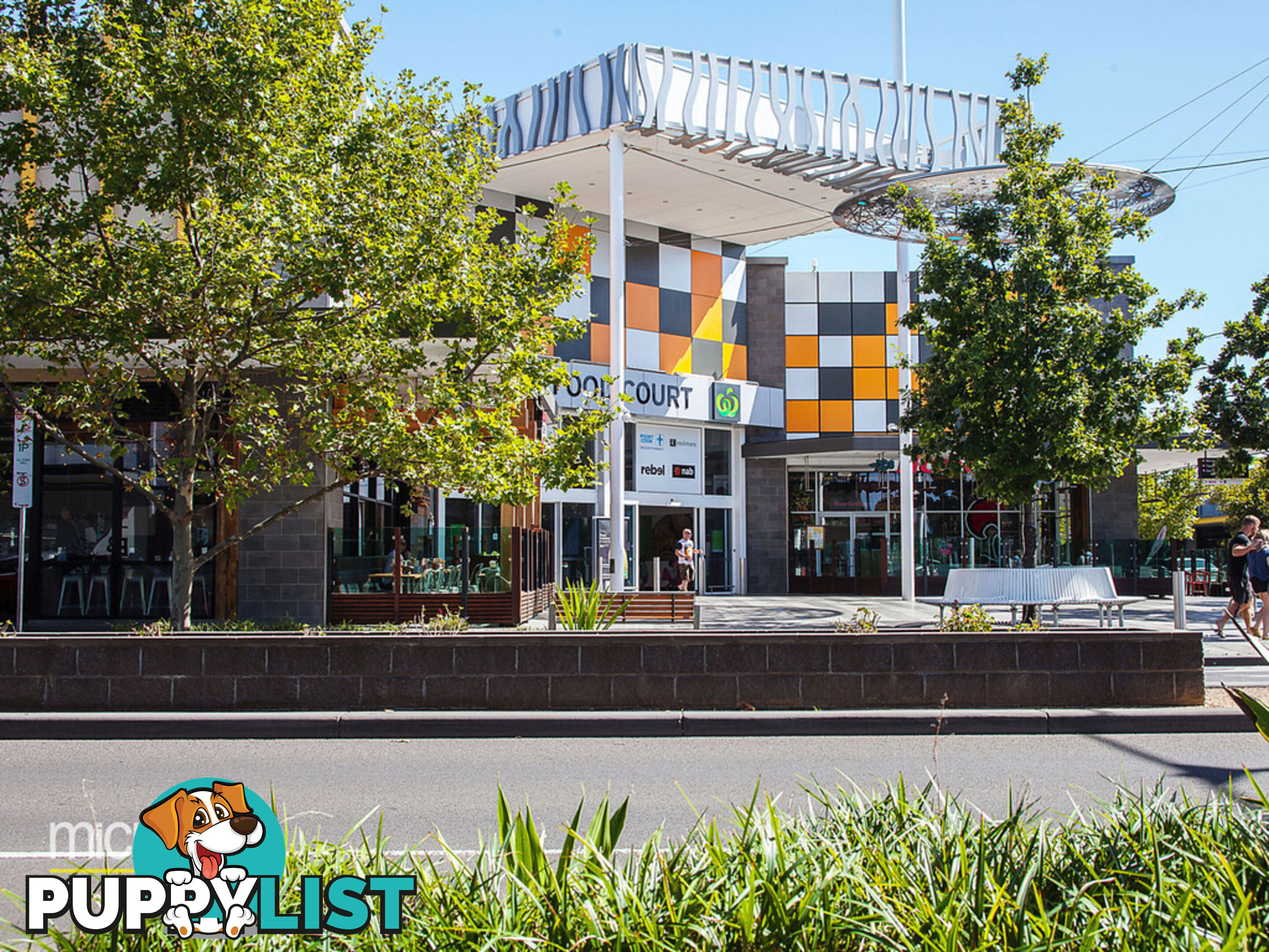 4 Dingo Street POINT COOK VIC 3030