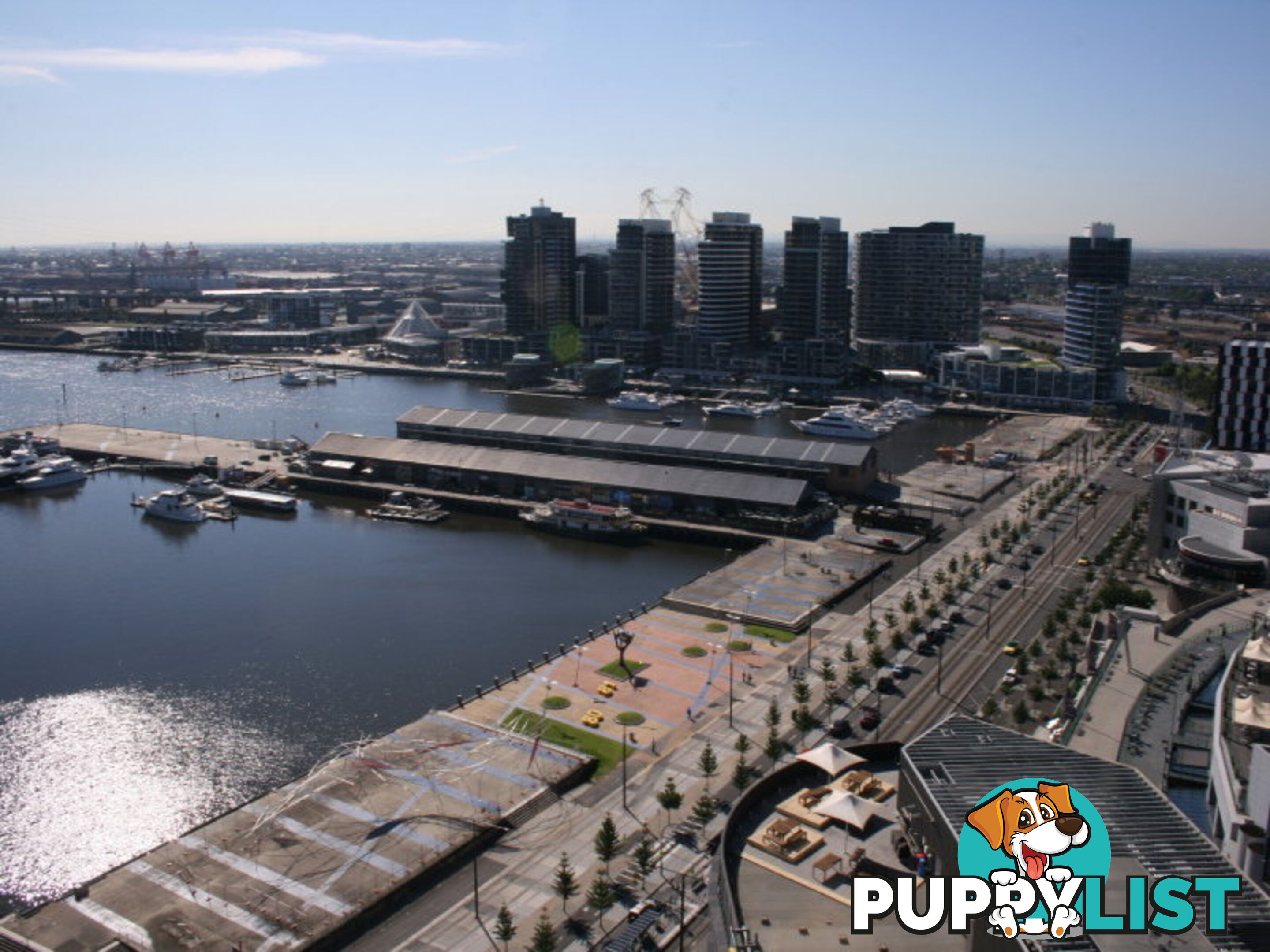 3104/100 Harbour Esplanade DOCKLANDS VIC 3008