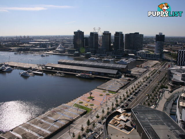 3104/100 Harbour Esplanade DOCKLANDS VIC 3008