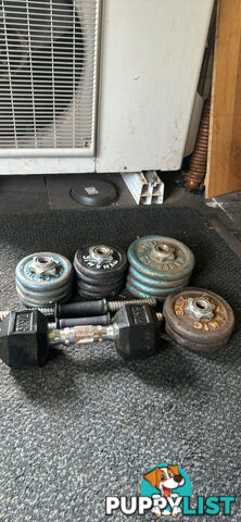 Metal Plates & Dumbbell