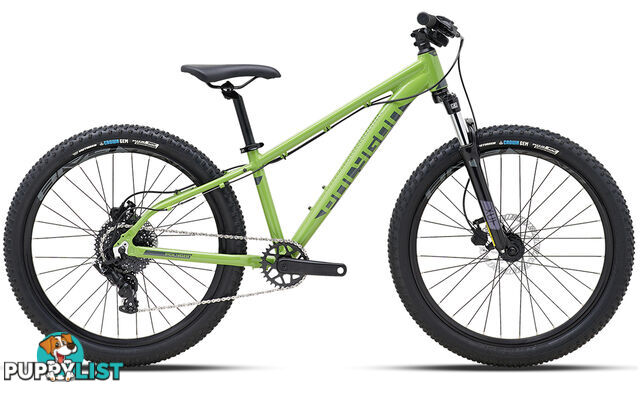 2024 Polygon Premier 24 XC Disc Evo - Lightweight Kids Bike  - 582024_PREMIER_24_XC_DISC_E