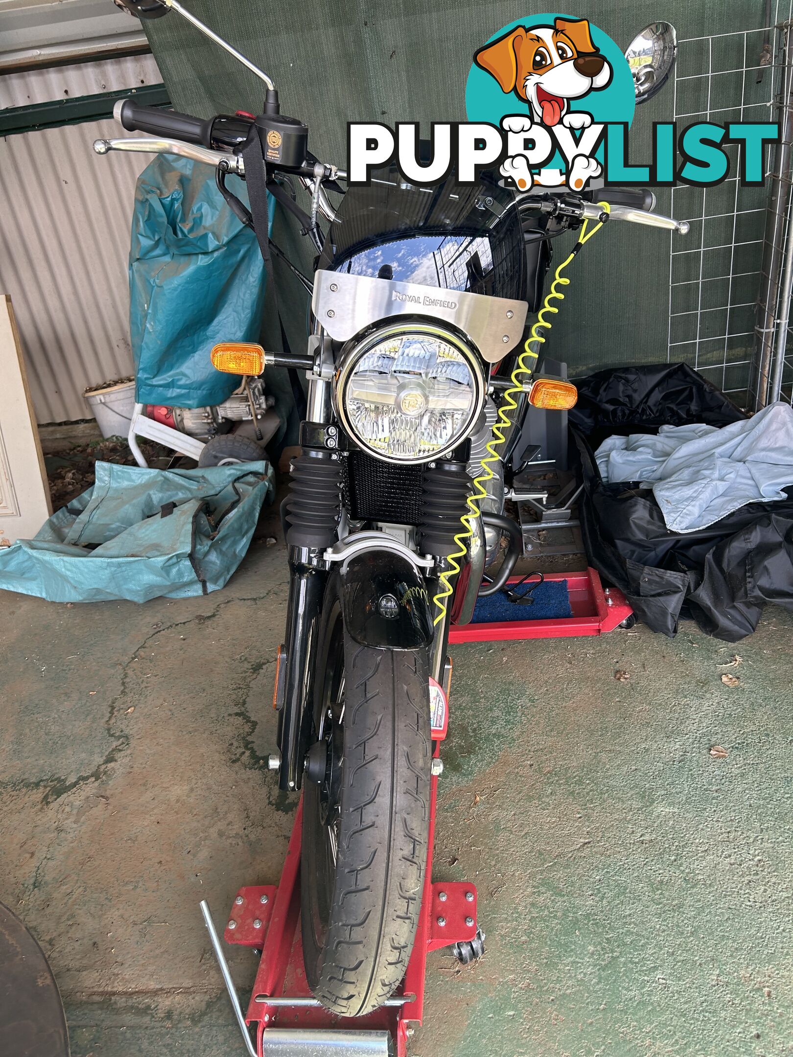 2023 Royal Enfield Interceptor 650 (Brand New)