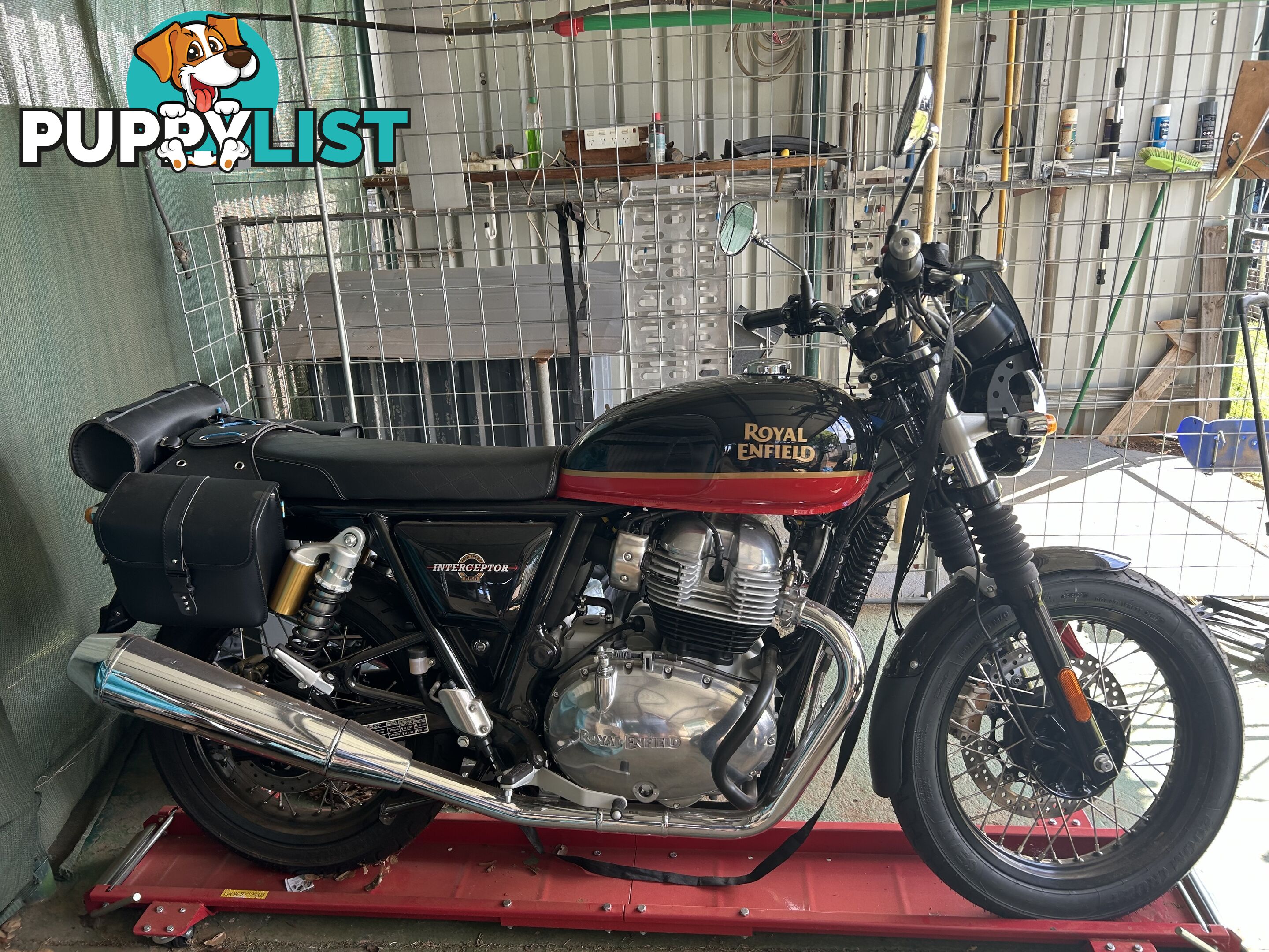 2023 Royal Enfield Interceptor 650 (Brand New)