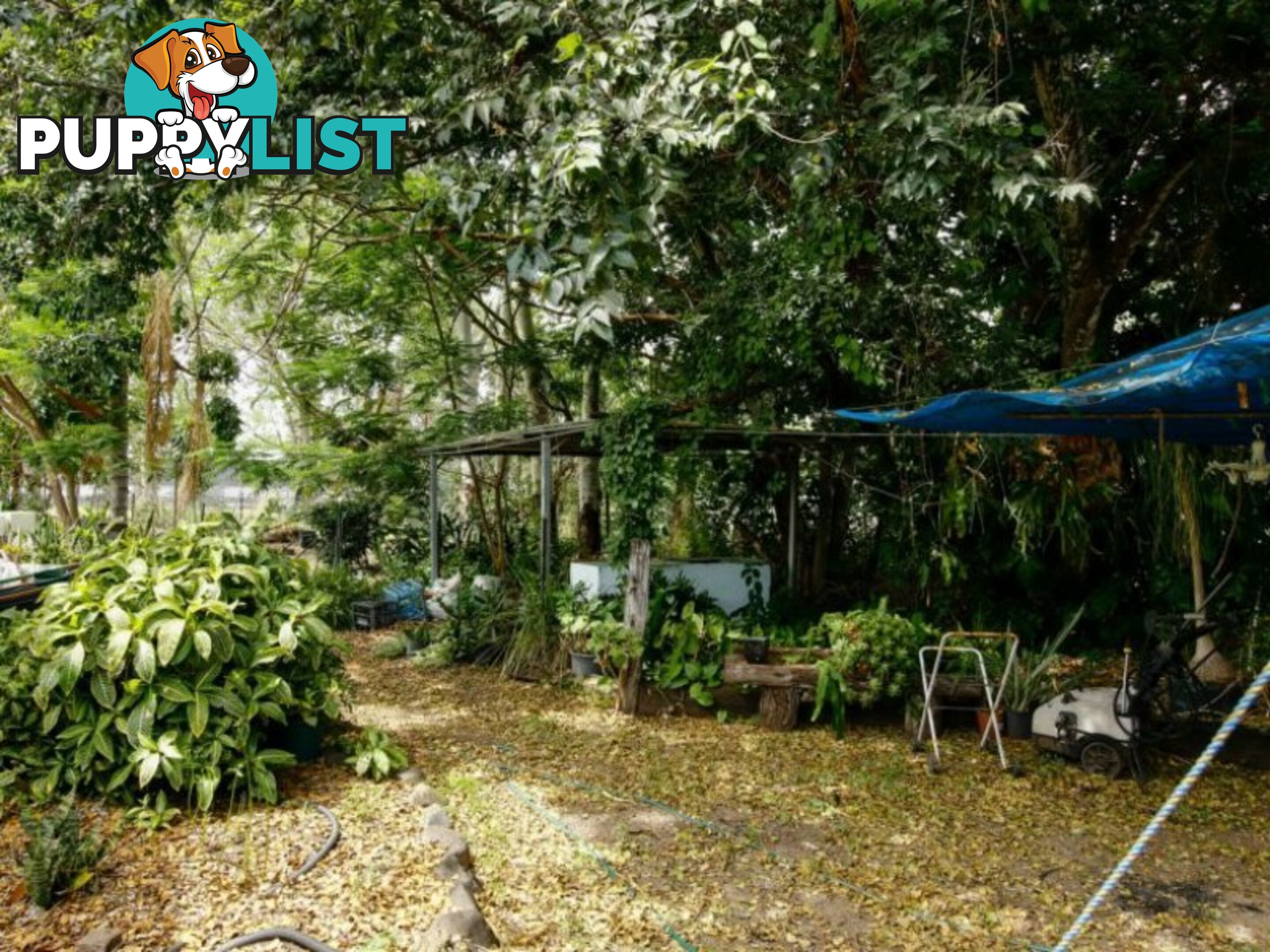 29 Spencer Street GAYNDAH QLD 4625