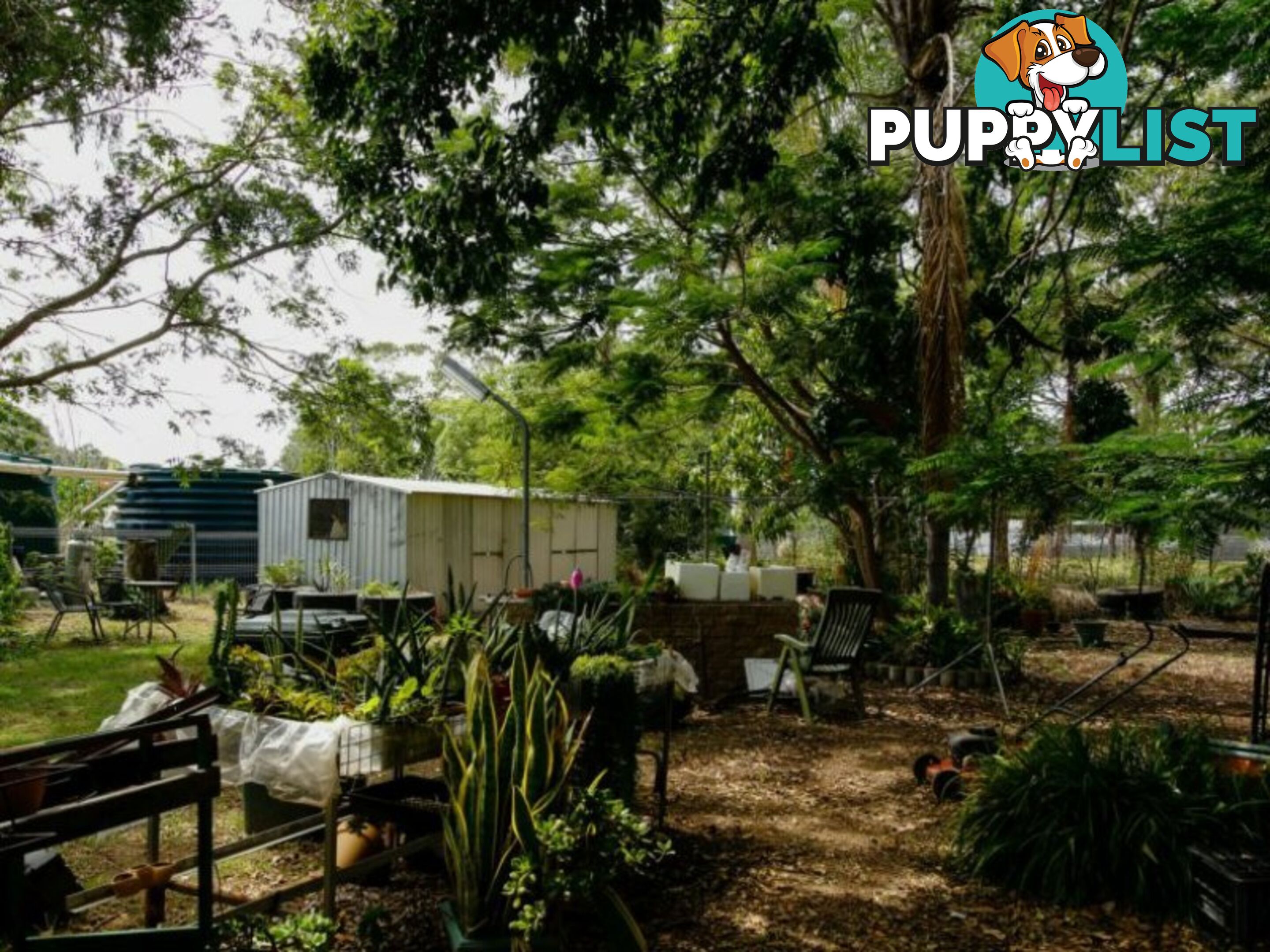 29 Spencer Street GAYNDAH QLD 4625