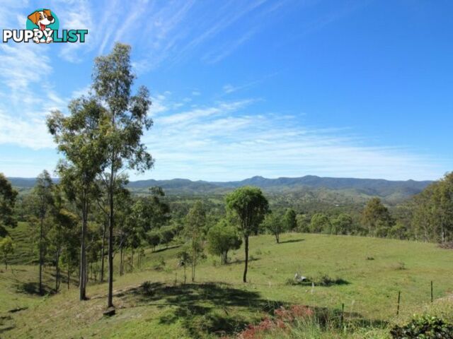 18 Log Hole Lane MOUNT PERRY QLD 4671