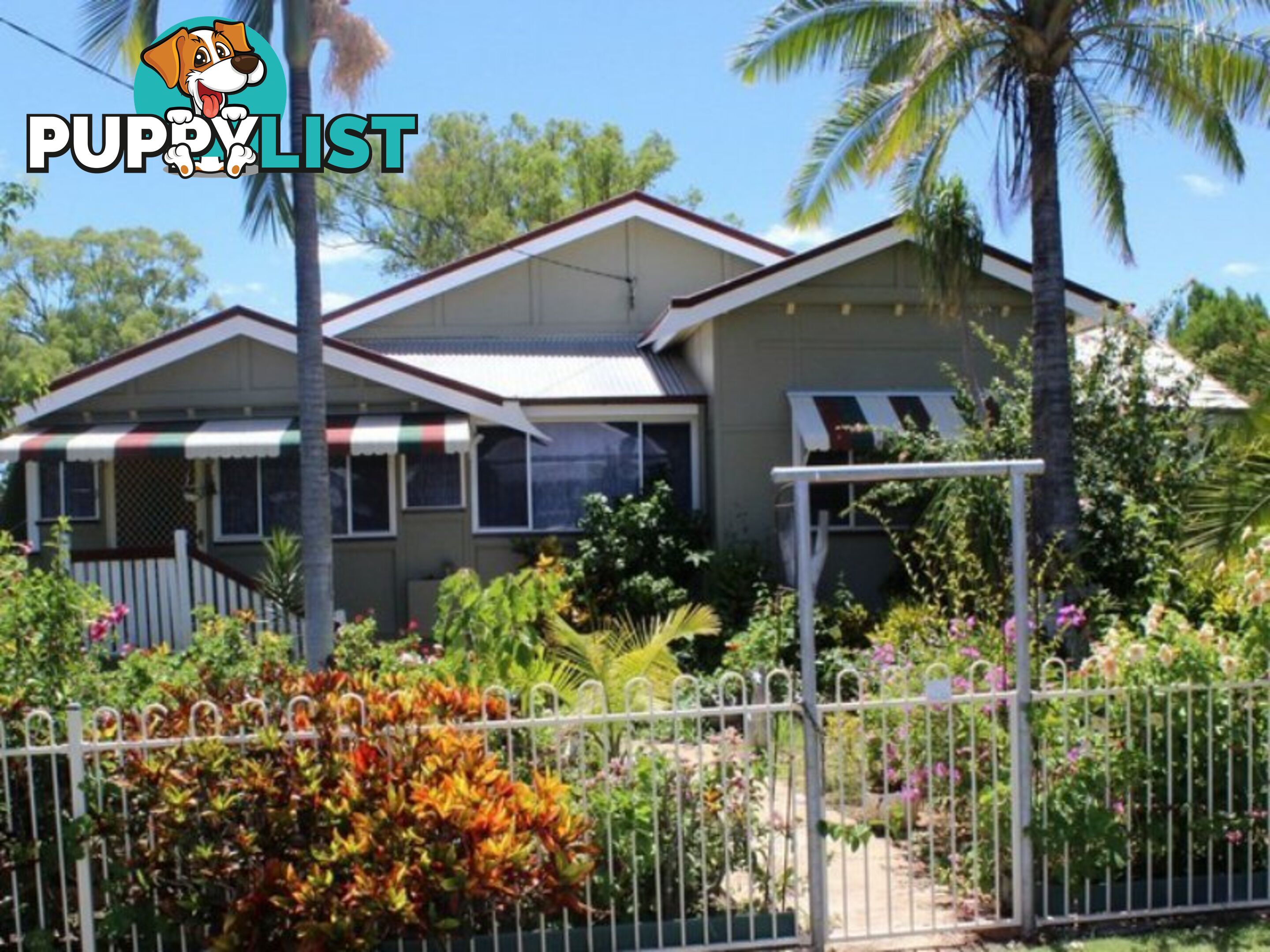 19 Frederick Street BIGGENDEN QLD 4621