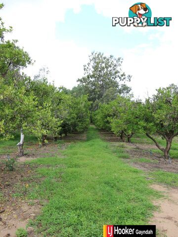 33 Old Maryborough Road GAYNDAH QLD 4625