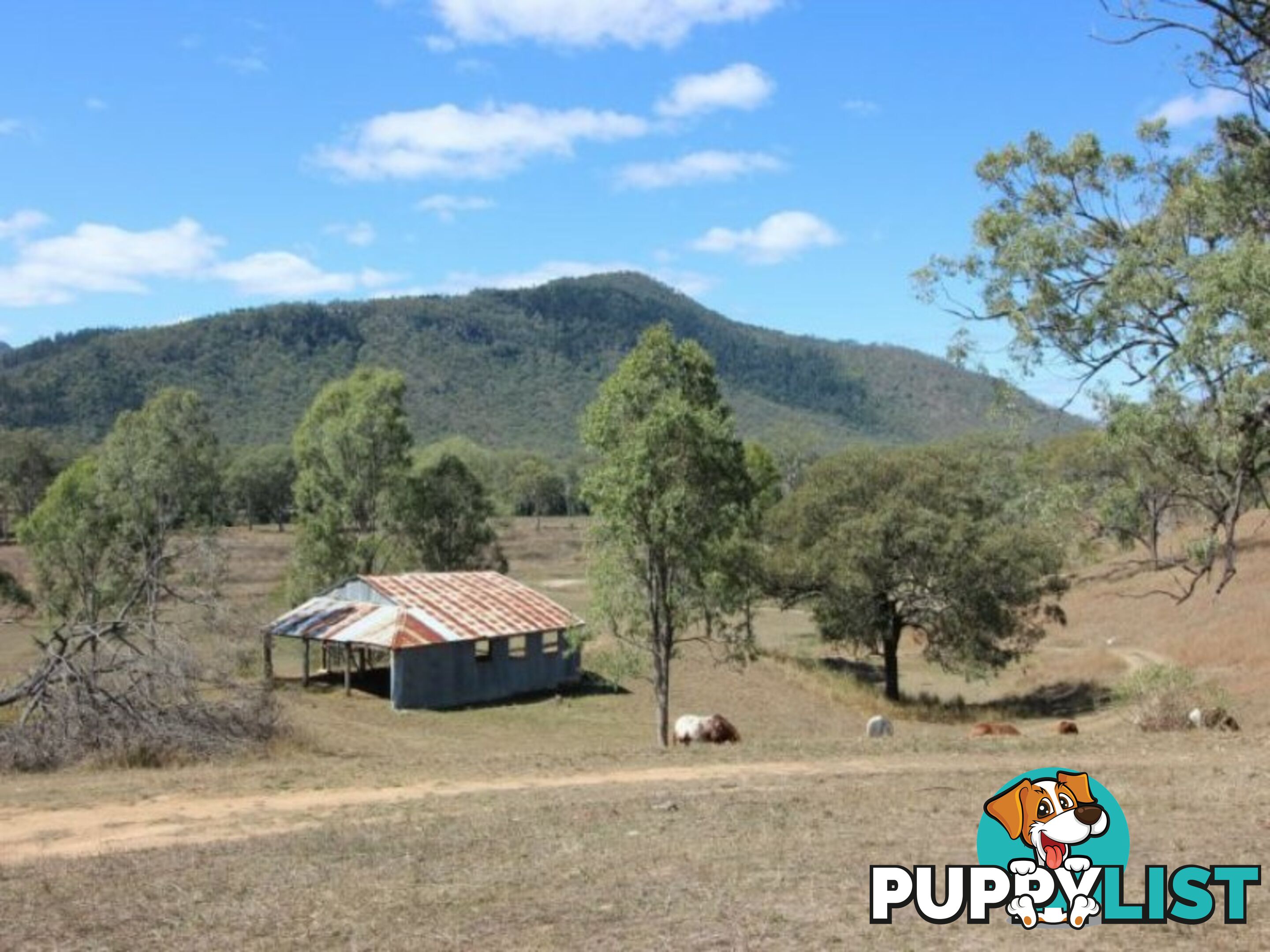 32 Huth Road MOUNT PERRY QLD 4671