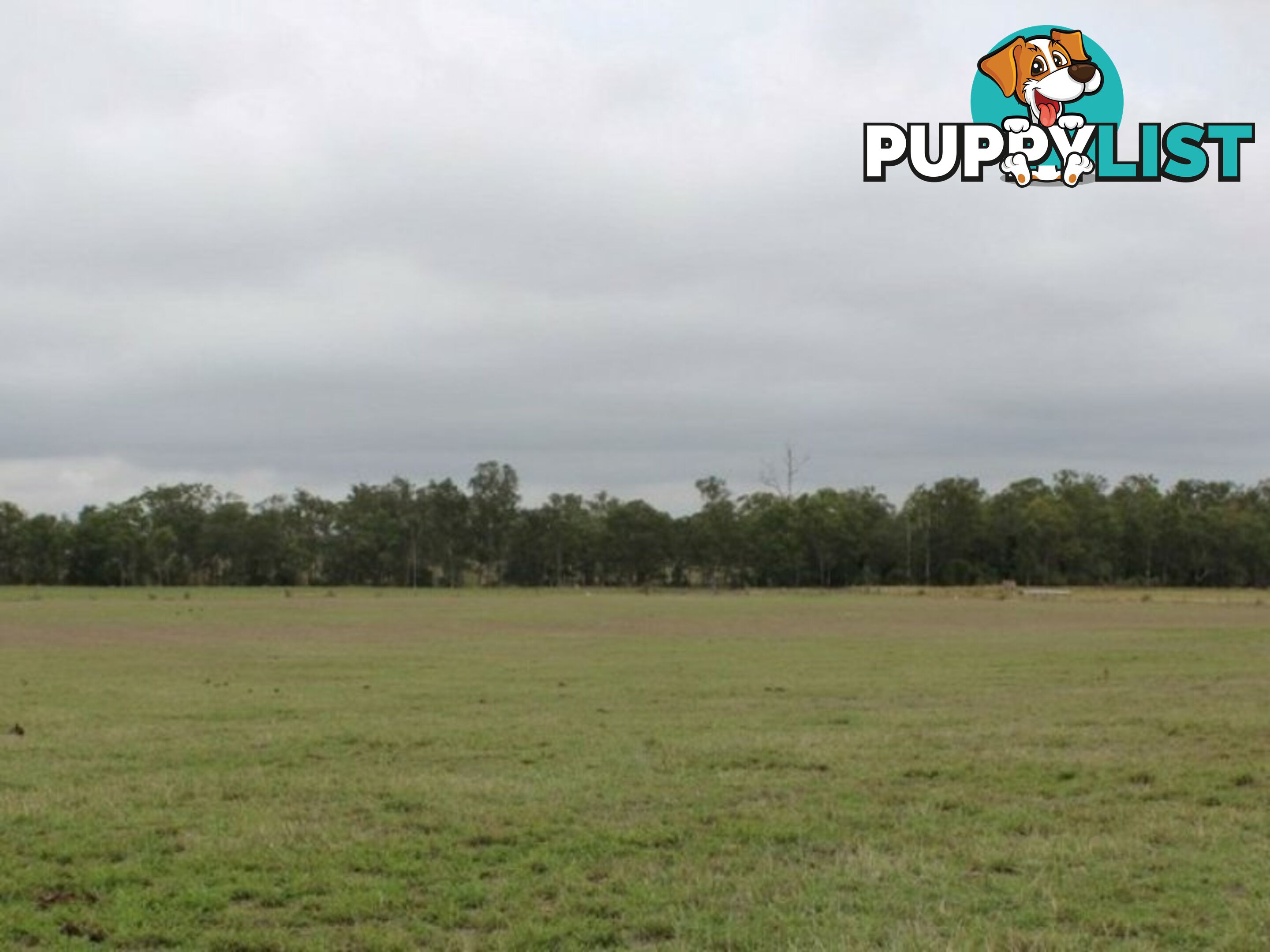 Lot 37 Hetheringtons Road DALLARNIL QLD 4621