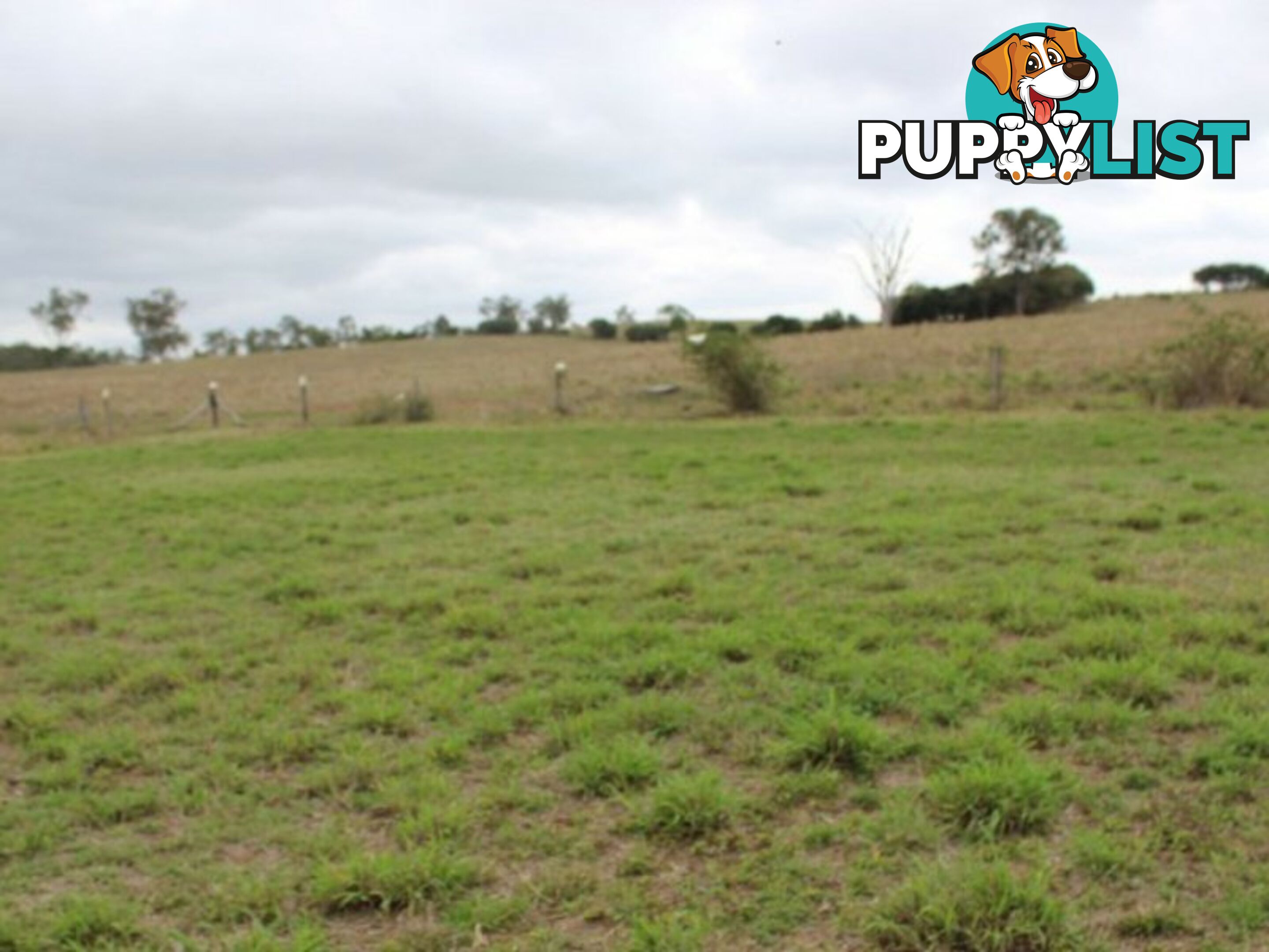 Lot 37 Hetheringtons Road DALLARNIL QLD 4621