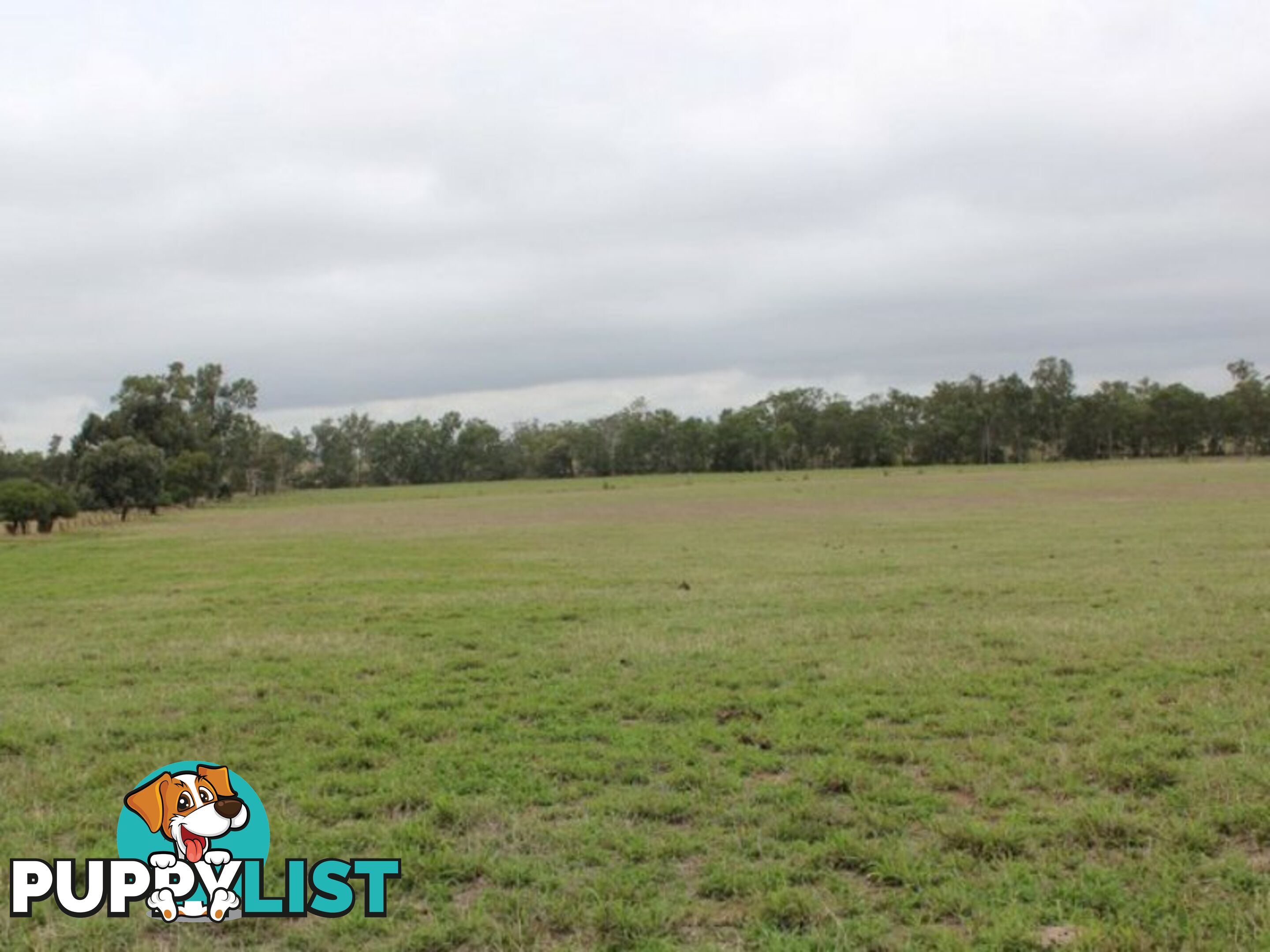 Lot 37 Hetheringtons Road DALLARNIL QLD 4621