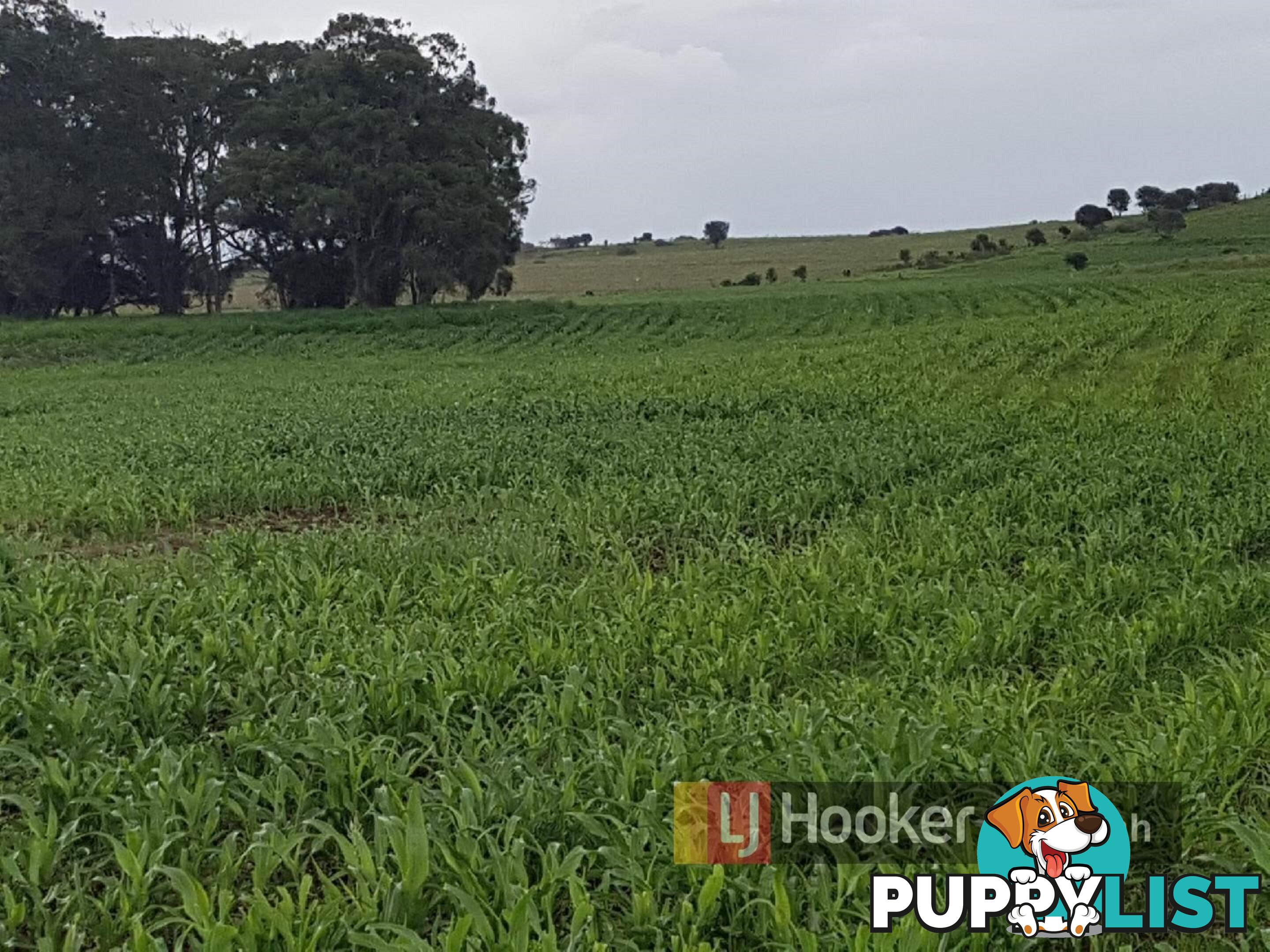 145 Hetheringtons Road DALLARNIL QLD 4621