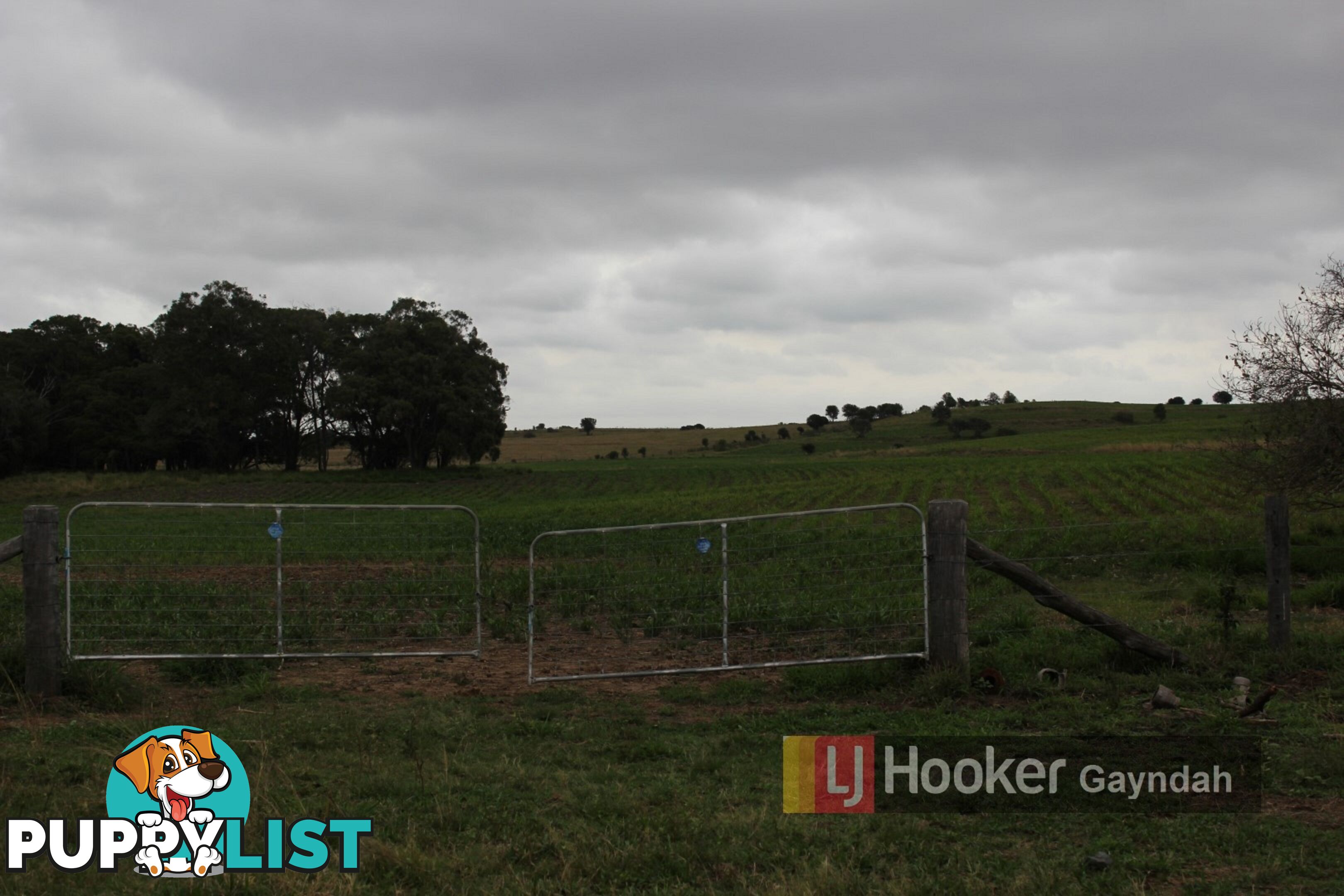 145 Hetheringtons Road DALLARNIL QLD 4621