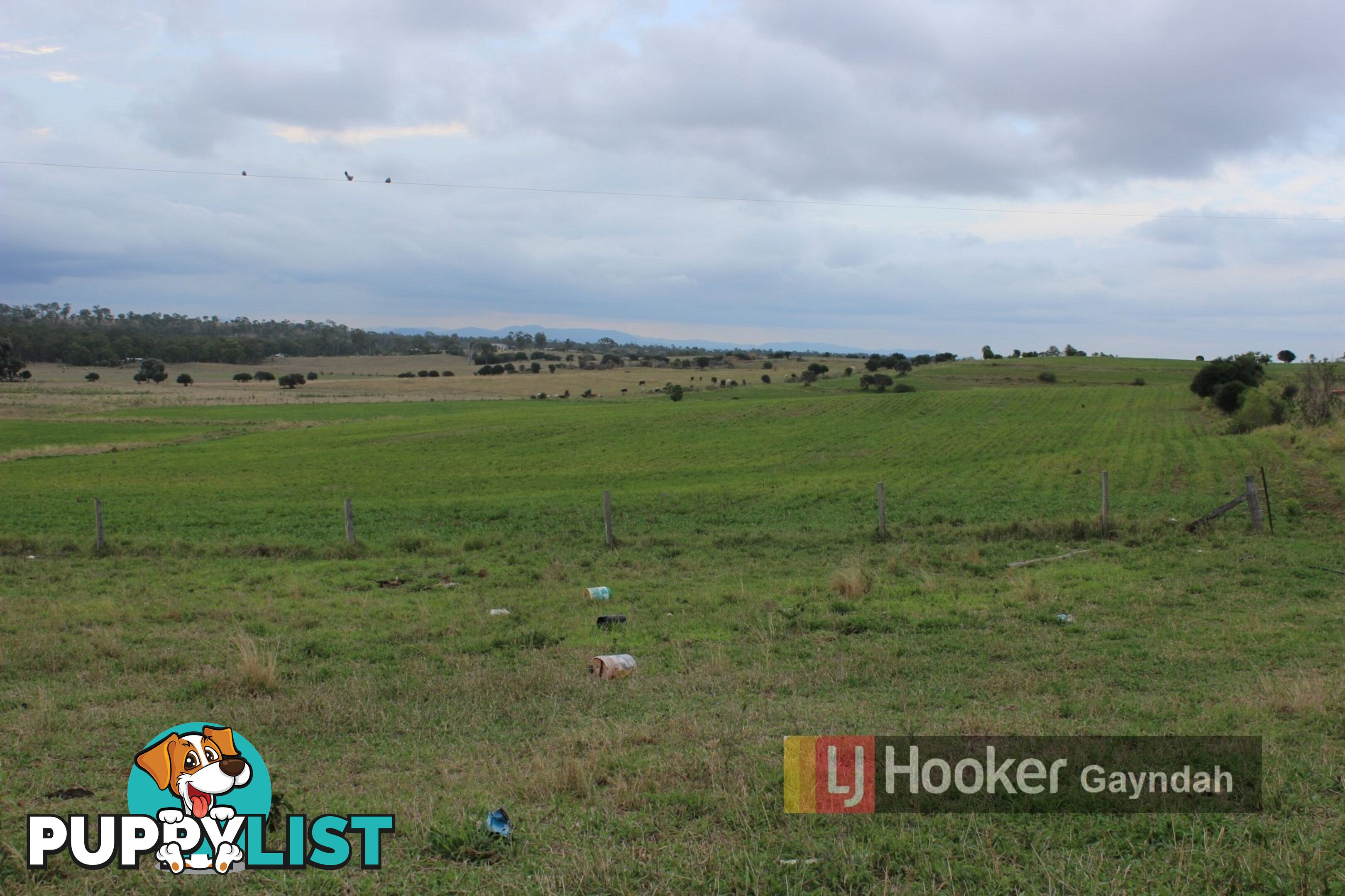 145 Hetheringtons Road DALLARNIL QLD 4621