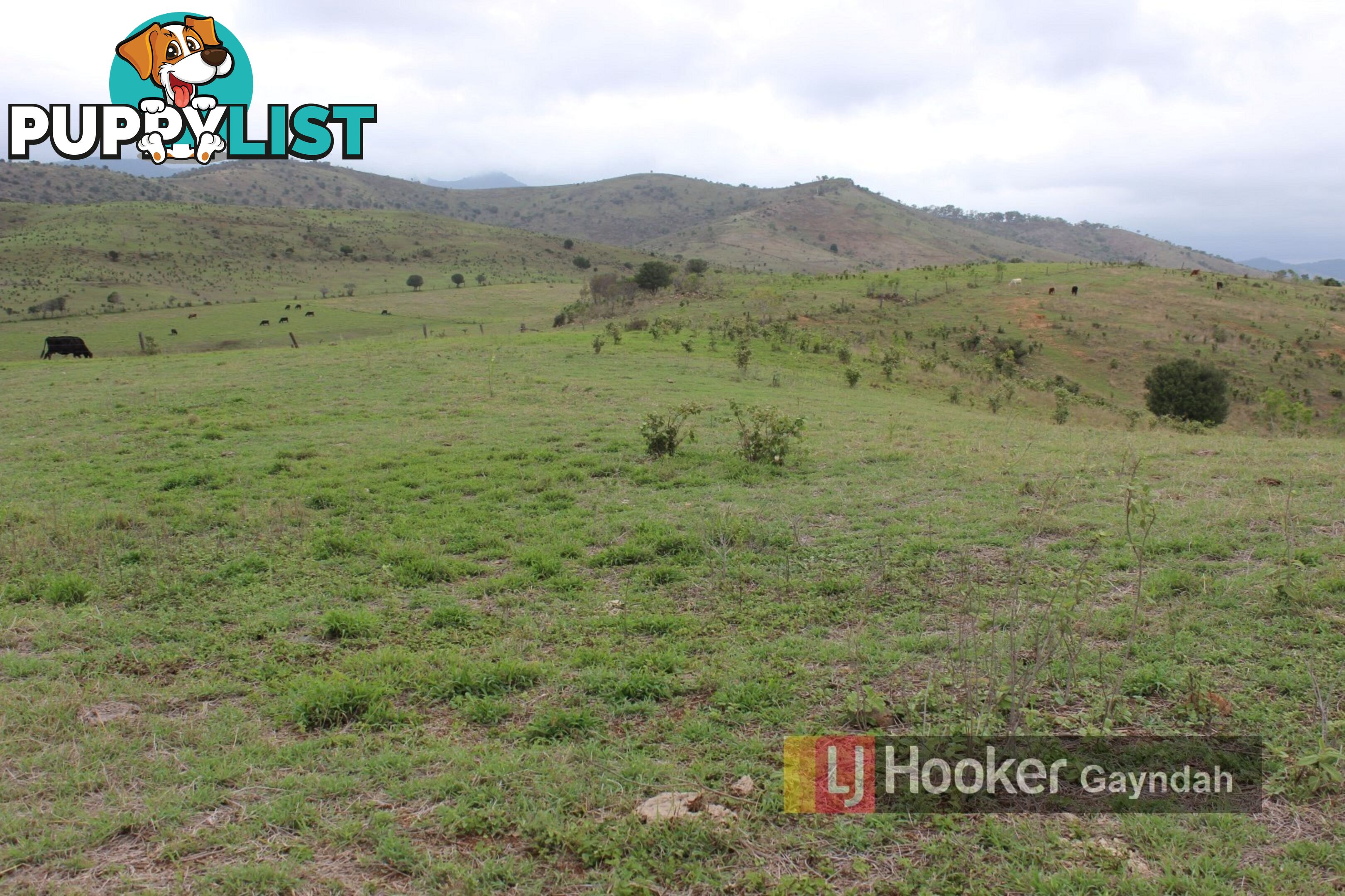 145 Hetheringtons Road DALLARNIL QLD 4621