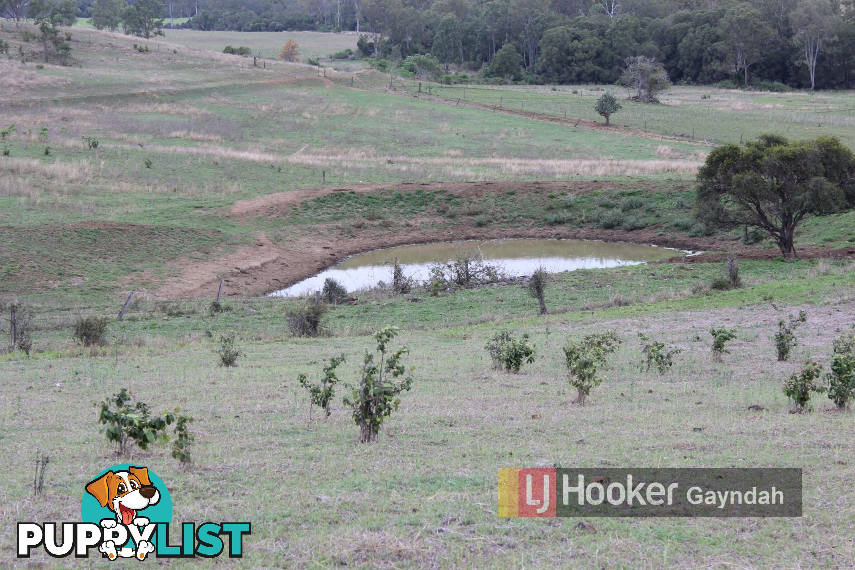 145 Hetheringtons Road DALLARNIL QLD 4621