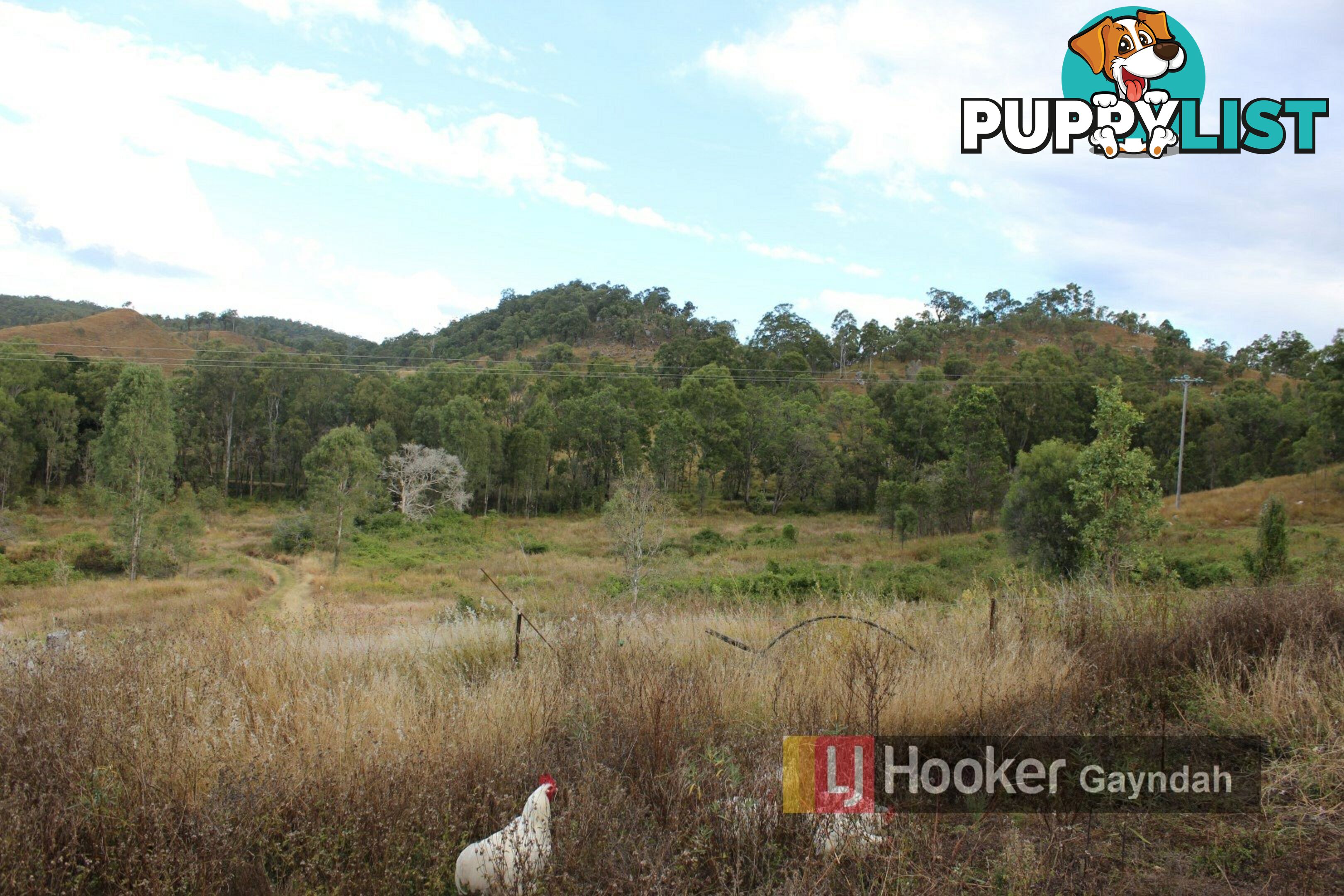 198 Tunnel Road MOUNT PERRY QLD 4671