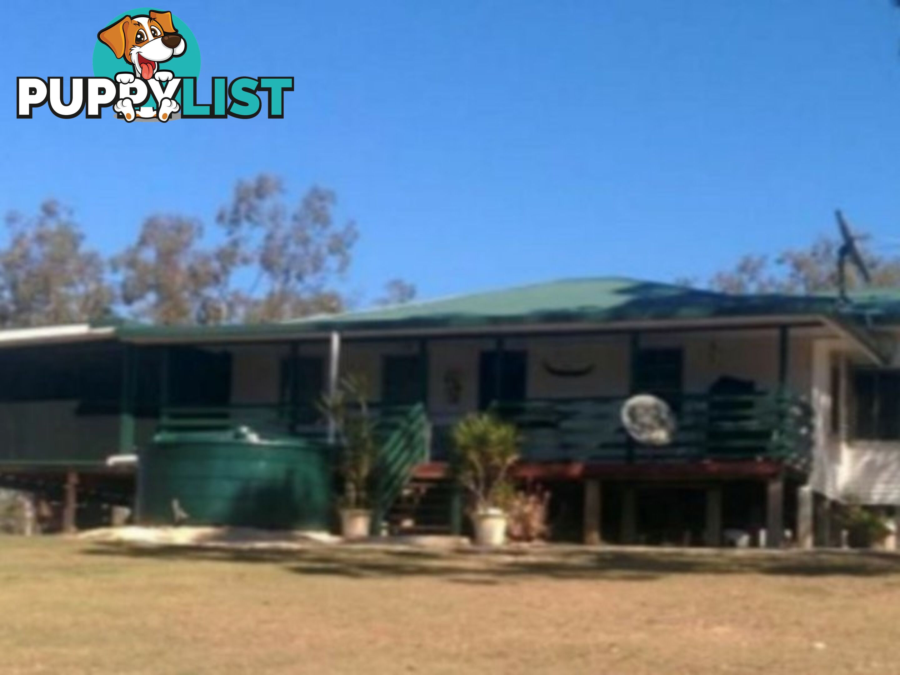 251 Wonbah Road WONBAH QLD 4671