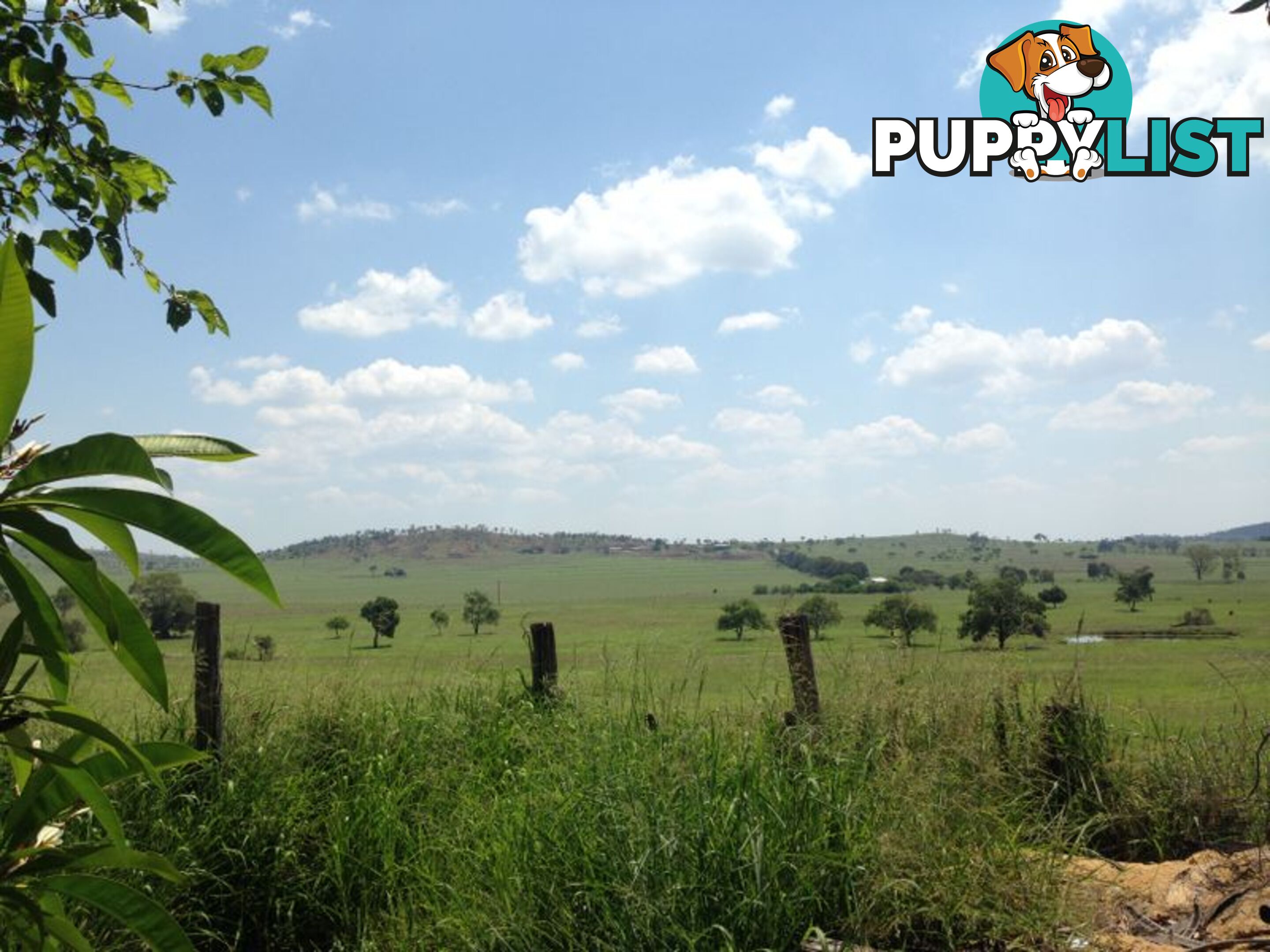 GAYNDAH QLD 4625