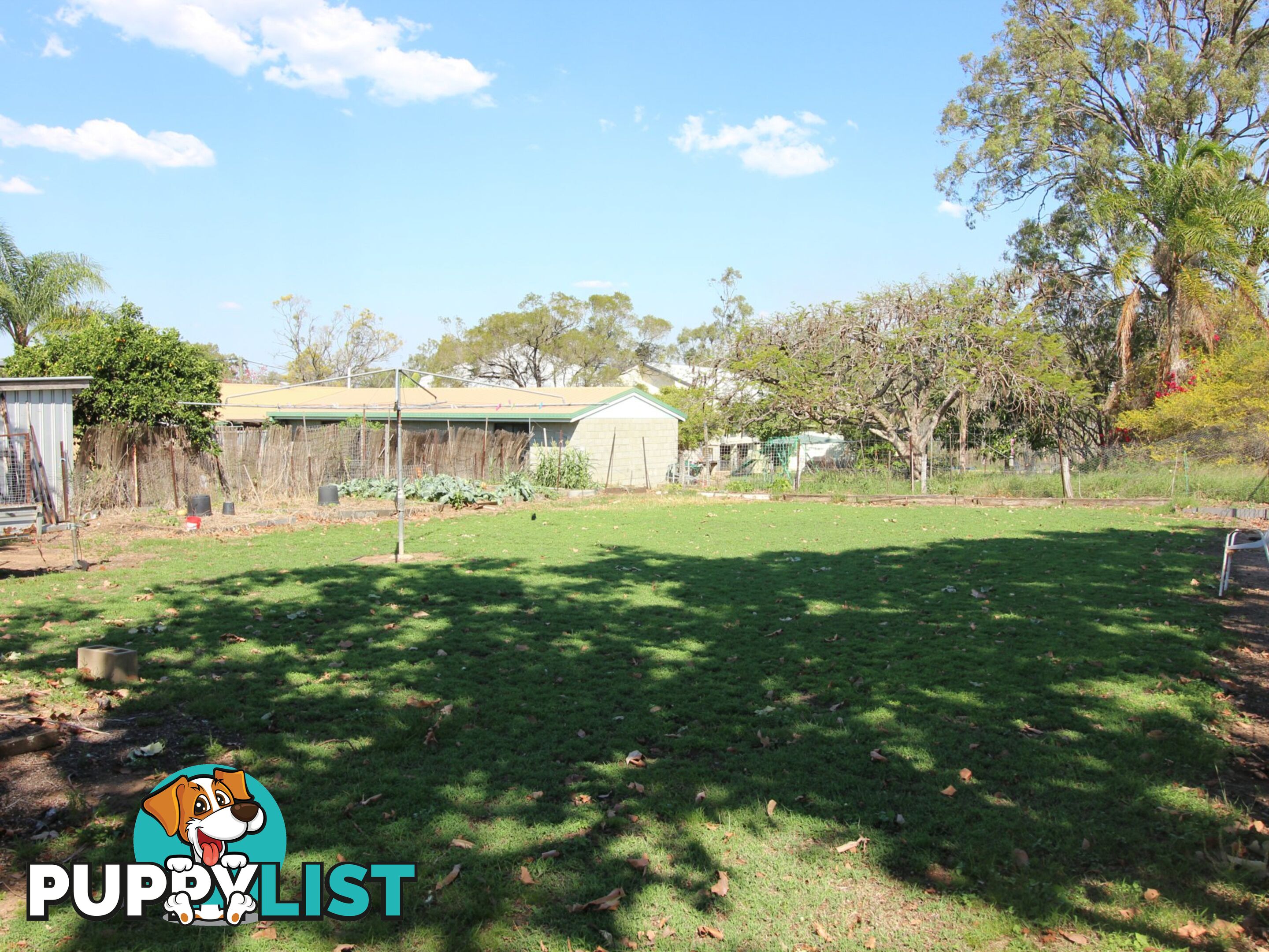 3 Mary Street BIGGENDEN QLD 4621