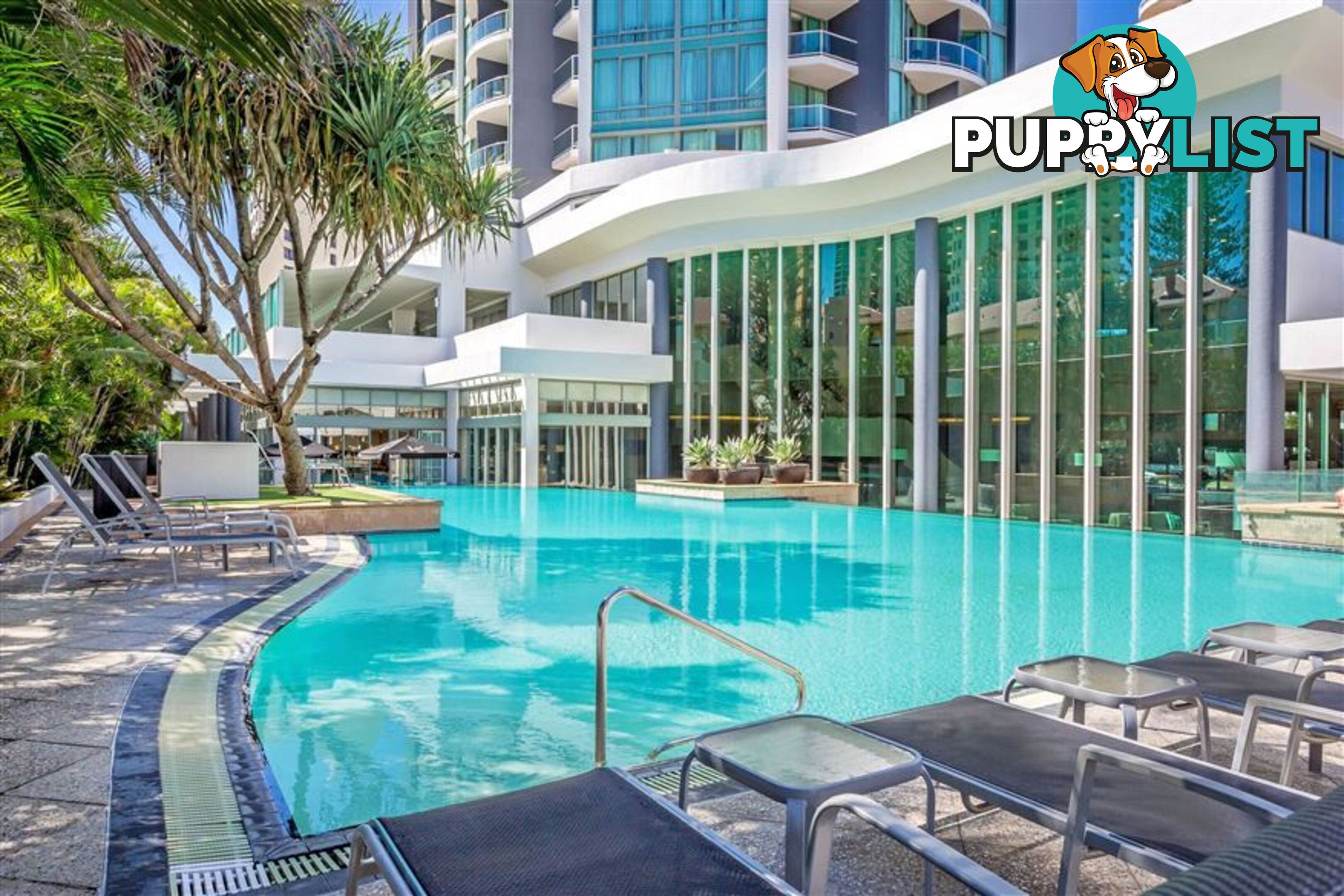 25 Laycock Street SURFERS PARADISE QLD 4217