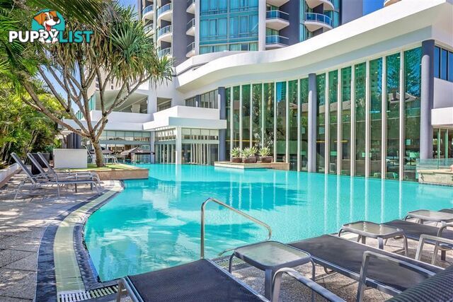 25 Laycock Street SURFERS PARADISE QLD 4217