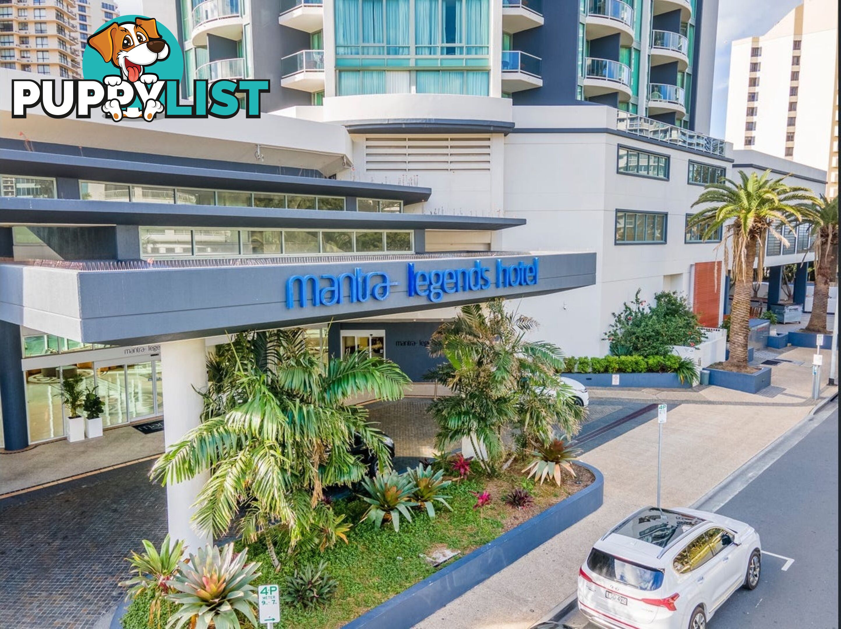 25 Laycock Street SURFERS PARADISE QLD 4217