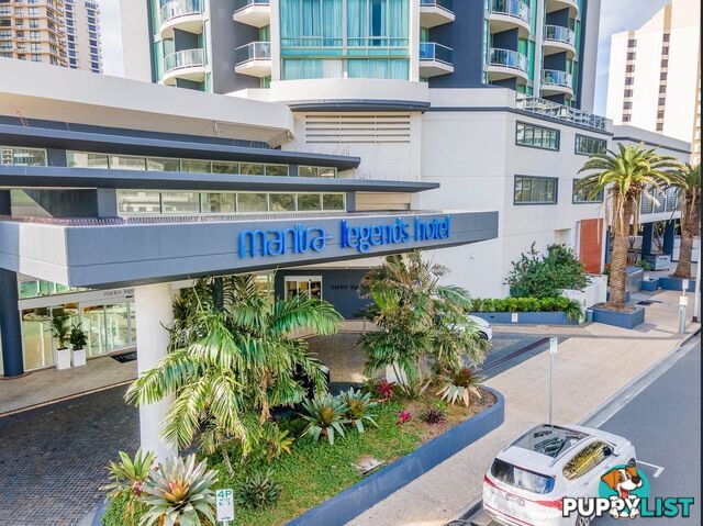 25 Laycock Street SURFERS PARADISE QLD 4217