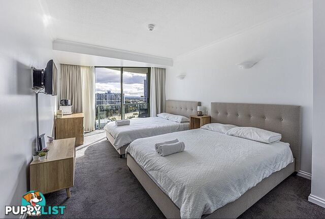 25 Laycock Street SURFERS PARADISE QLD 4217