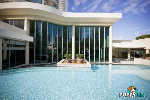 25 Laycock Street SURFERS PARADISE QLD 4217