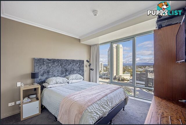 25 Laycock Street SURFERS PARADISE QLD 4217