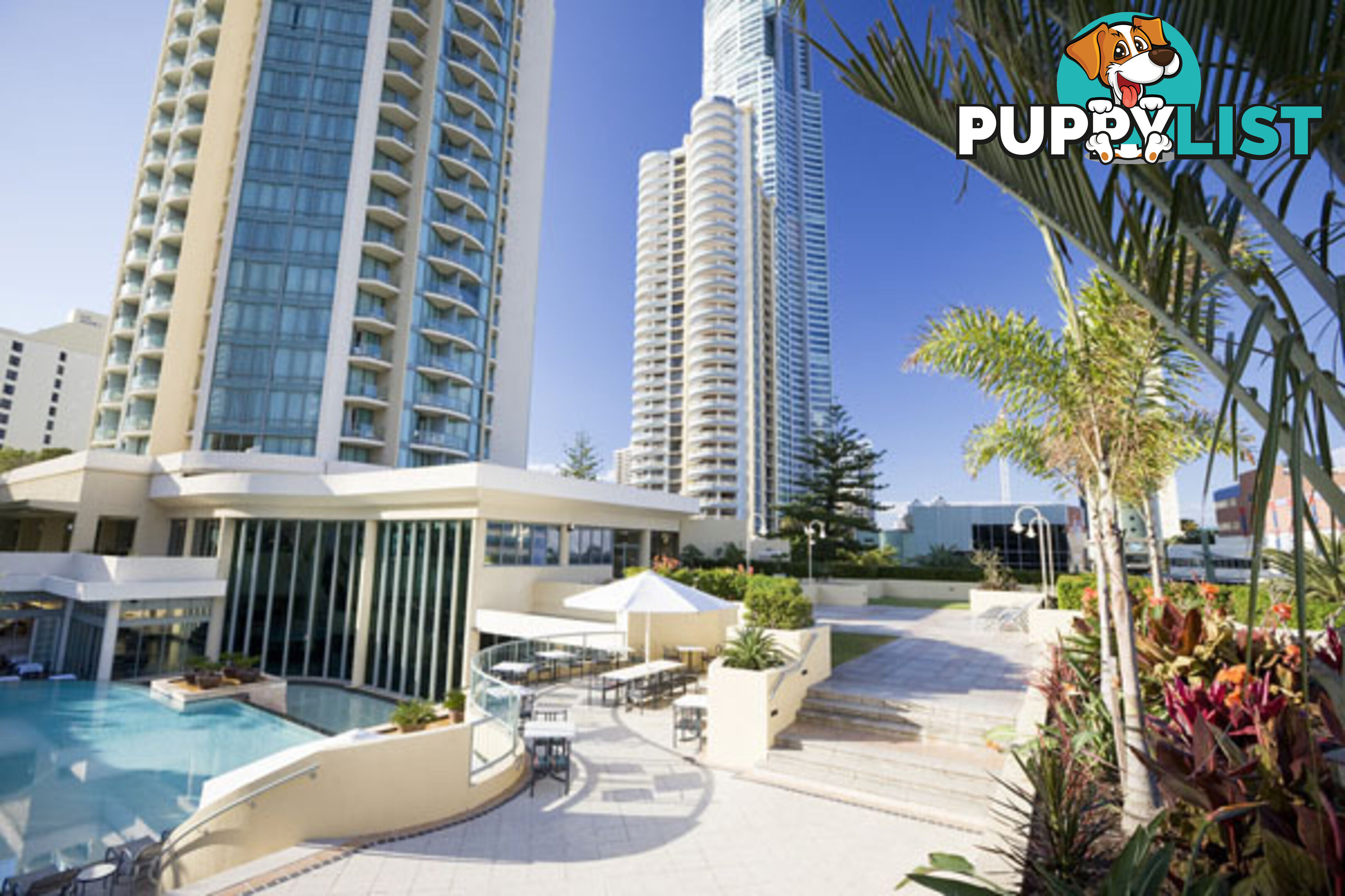 25 Laycock Street SURFERS PARADISE QLD 4217