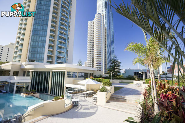 25 Laycock Street SURFERS PARADISE QLD 4217