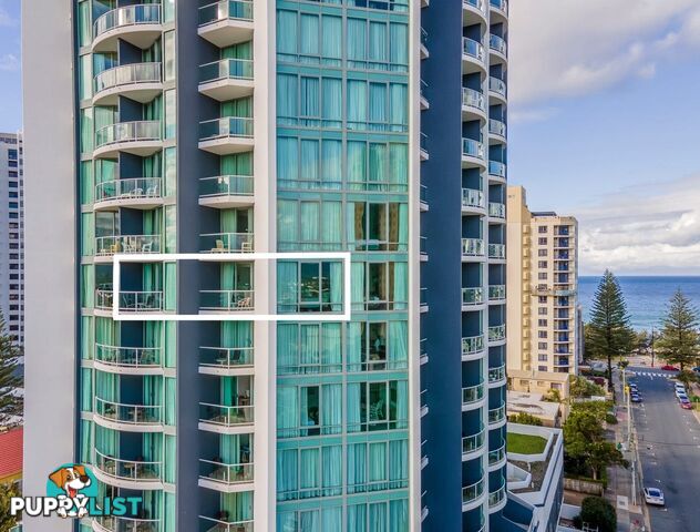 25 Laycock Street SURFERS PARADISE QLD 4217