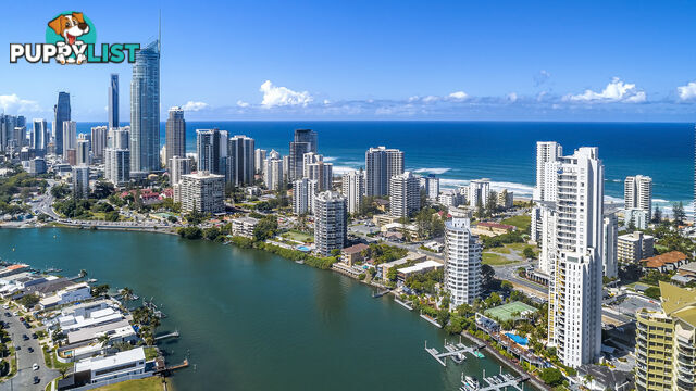 2894-2910 GOLD COAST HIGHWAY SURFERS PARADISE QLD 4217