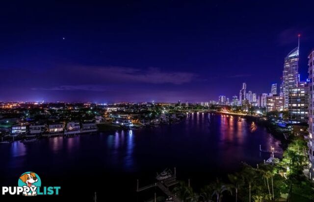 2894-2910 GOLD COAST HIGHWAY SURFERS PARADISE QLD 4217