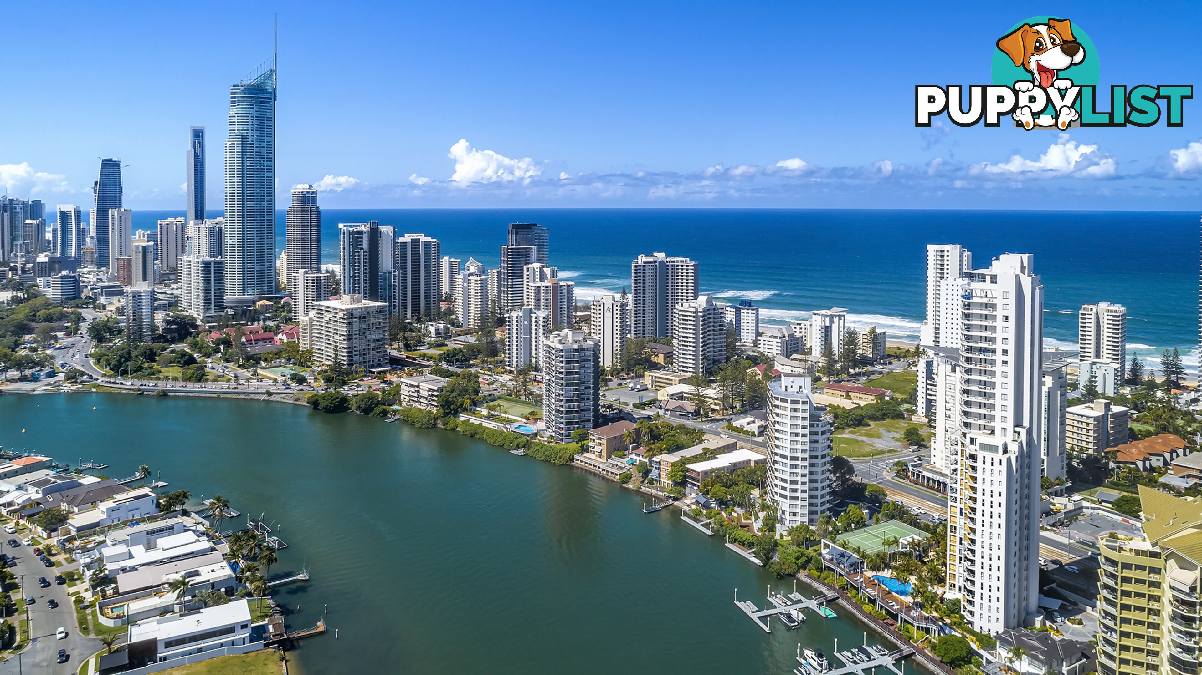 41 2894-2910 Gold Coast Highway Surfers Paradise 4217 SURFERS PARADISE QLD 4217