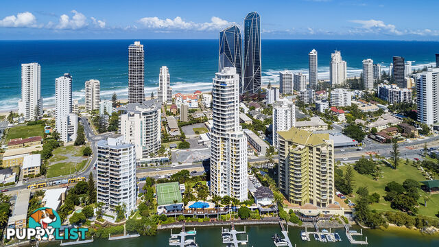 41 2894-2910 Gold Coast Highway Surfers Paradise 4217 SURFERS PARADISE QLD 4217