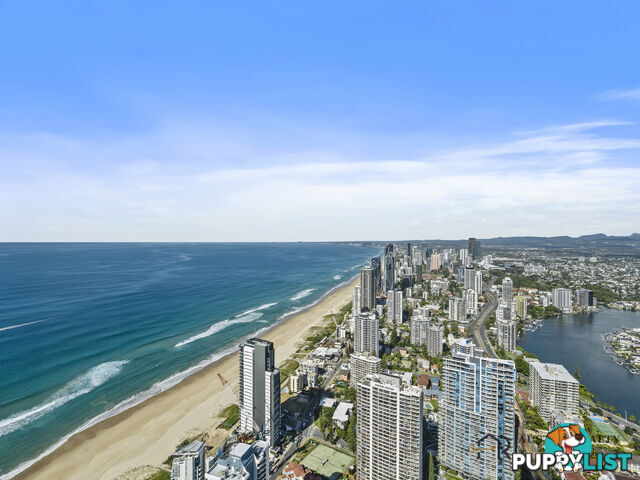 6103 9 HAMILTON AVENUE SURFERS PARADISE QLD 4217