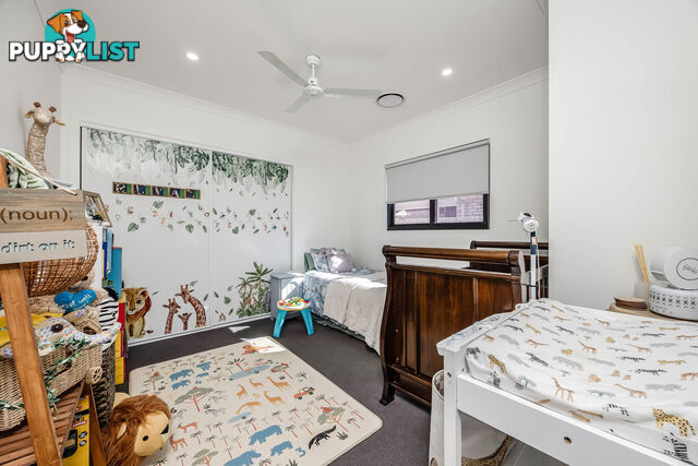 23 Coldstream Street PIMPAMA QLD 4209