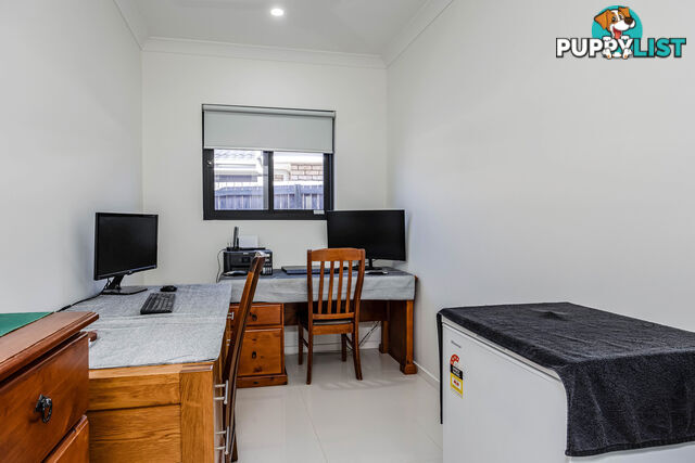 23 Coldstream Street PIMPAMA QLD 4209