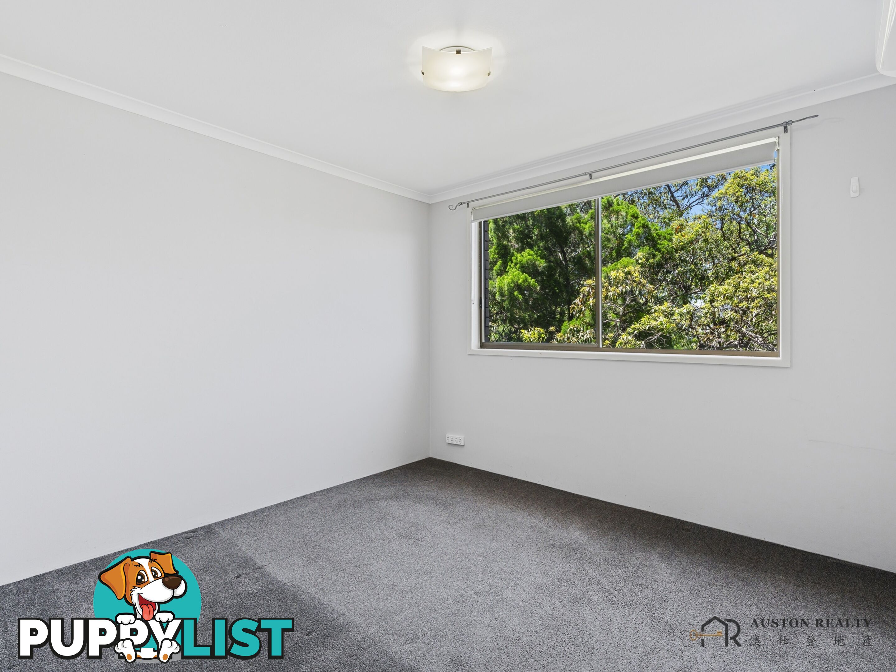 5 16 ROSEWOOD AVENUE BROADBEACH QLD 4218