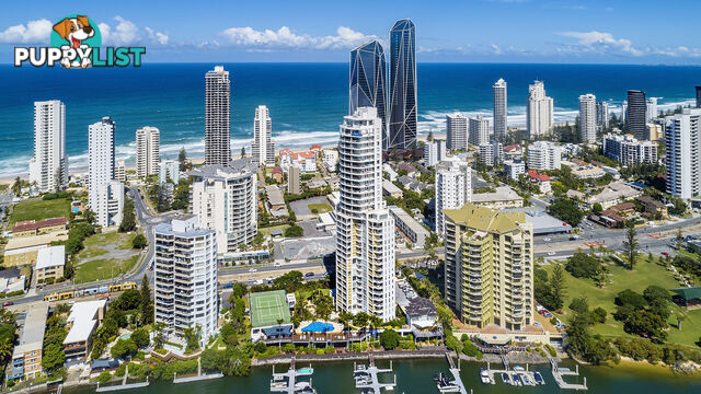 23 2894-2910 GOLD COAST HIGHWAY SURFERS PARADISE QLD 4217